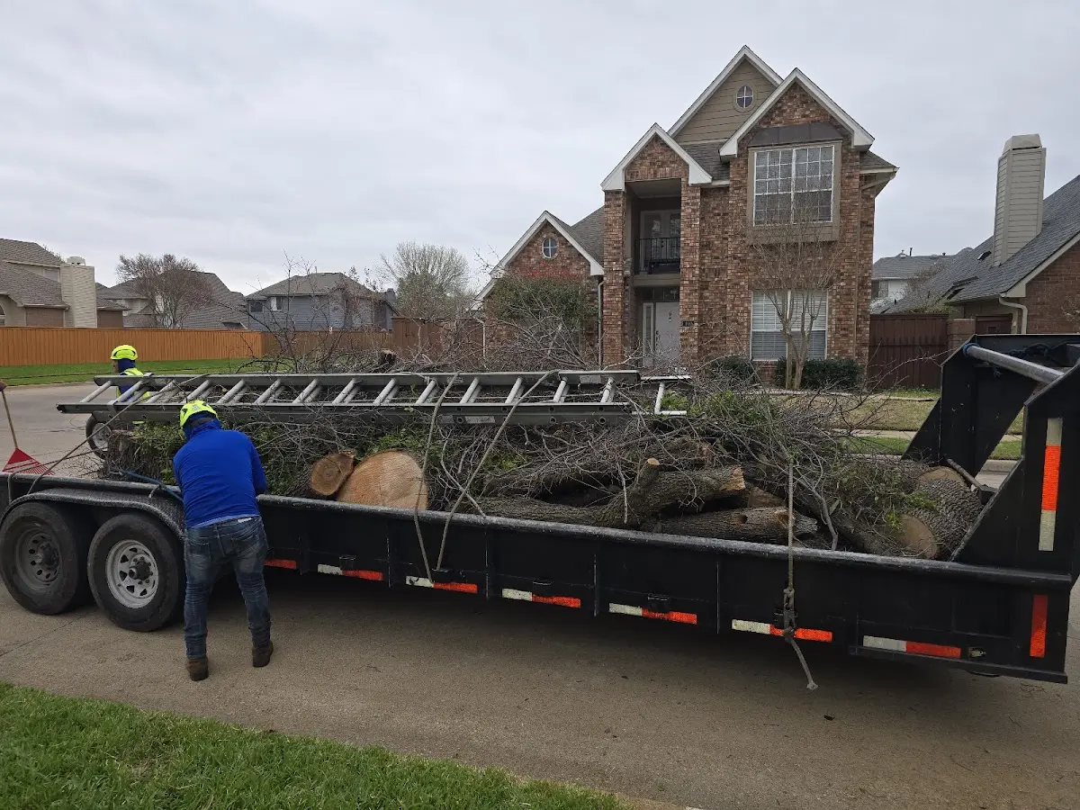 Expert Tree Pest Control with proper safety equipment in La Salle
